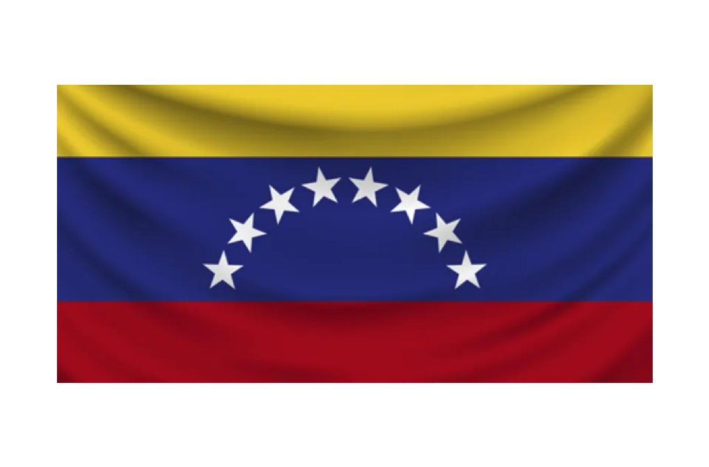 Ezequiel H. Vetulli authors an article on the investment protection of dual nationals